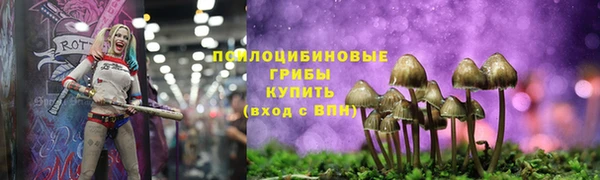 бутират Арсеньев